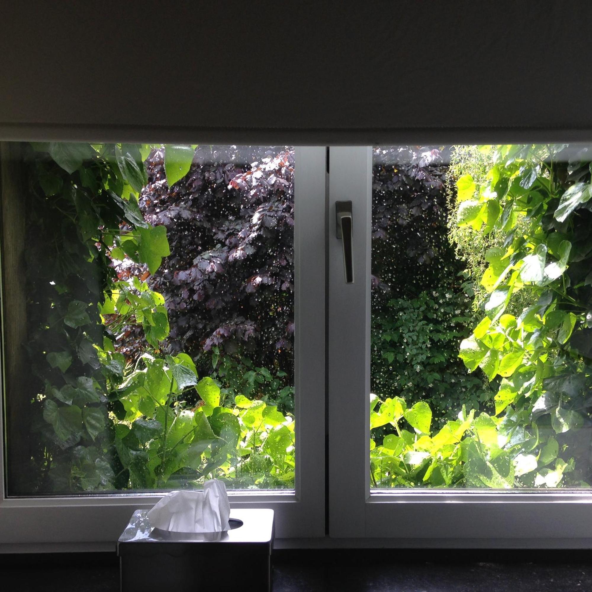 B&B Matin Tranquille Льєж Екстер'єр фото